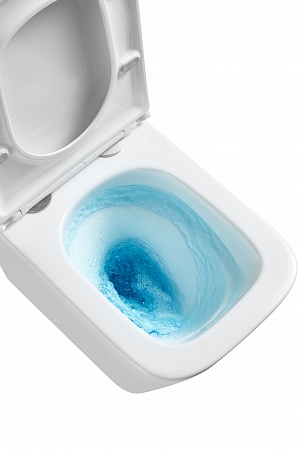 Подвесной унитаз безободковый Terminus Ватикан Монолит 490х340 белый Сосновый Бор - фото 8