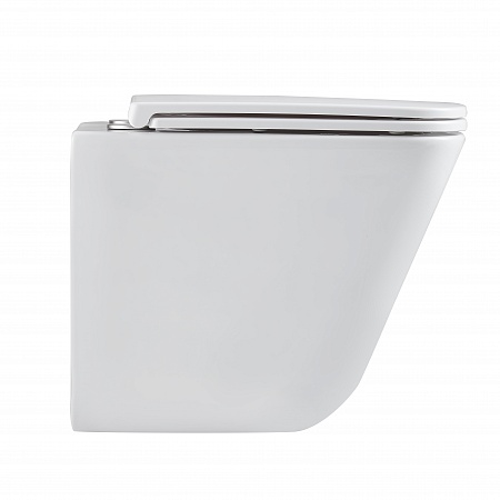 Подвесной унитаз безободковый Terminus Ватикан Монолит 490х340 белый Сосновый Бор - фото 4