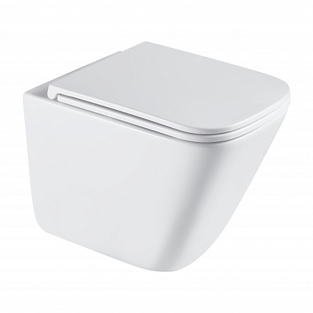 Подвесной унитаз безободковый Terminus Ватикан Монолит 490х340 белый Сосновый Бор - фото 2