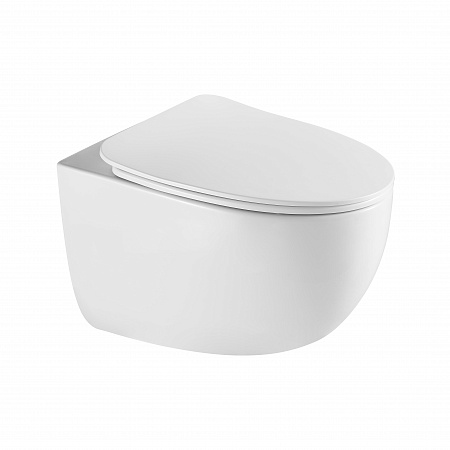 Подвесной унитаз безободковый Terminus Енисей Монолит 560х390 белый Сосновый Бор - фото 2