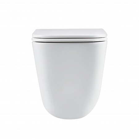 Подвесной унитаз безободковый Terminus Ватикан Монолит 490х340 белый Сосновый Бор - фото 6