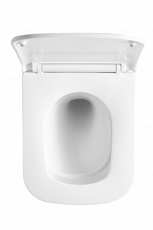 Подвесной унитаз безободковый Terminus Ватикан Монолит 490х340 белый Сосновый Бор - фото 3